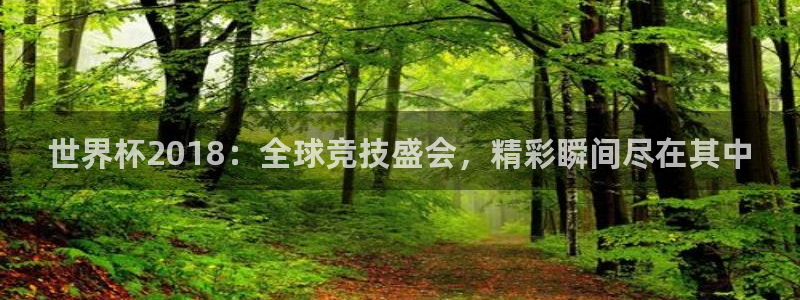 世界杯直播在线观看入口：世界杯2018：全球竞技盛会，精彩瞬间尽在其中