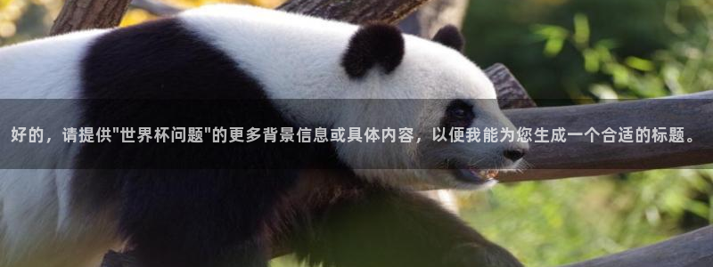 2026世界杯亚洲区预选赛：好的，请提供\