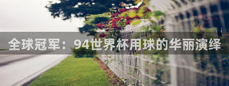 预选赛世界杯：全球冠军：94世界杯用球的华丽演绎