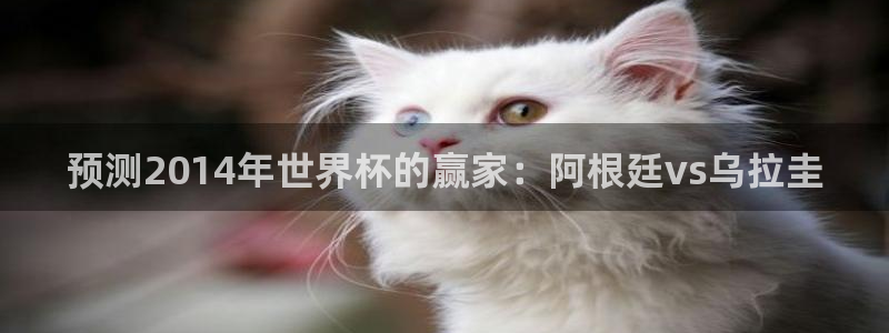 欧洲区世界杯预选赛：预测2014年世界杯的赢家：阿根廷vs乌拉圭