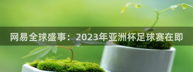 世界杯 赛程：网易全球盛事：2023年亚洲杯足球赛在即
