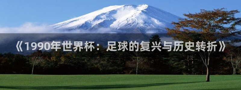 足球比分直播世界杯：《1990年世界杯：足球的复兴与历史转折》