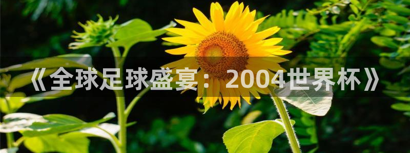 世界杯足球比赛：《全球足球盛宴：2004世界杯》