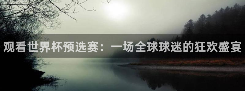 足球世界杯时间：观看世界杯预选赛：一场全球球迷的狂欢盛宴
