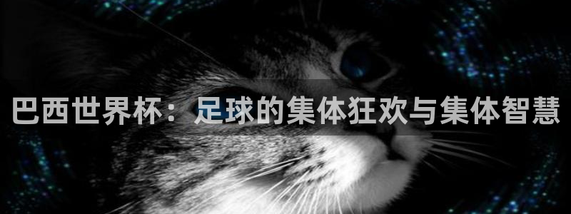 欧洲世界杯预选赛赛程：巴西世界杯：足球的集体狂欢与集体智慧