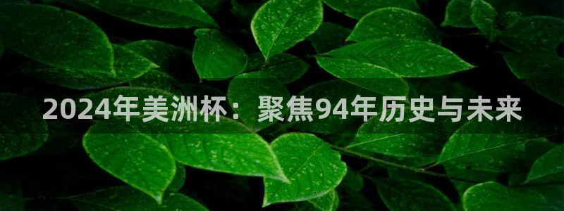 今天所有足球赛程表：2024年美洲杯：聚焦94年历史与未来