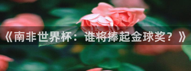 足球世界杯2026：《南非世界杯：谁将捧起金球奖？》