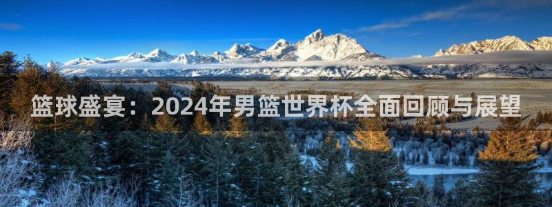 世界杯官网：篮球盛宴：2024年男篮世界杯全面回顾与展望