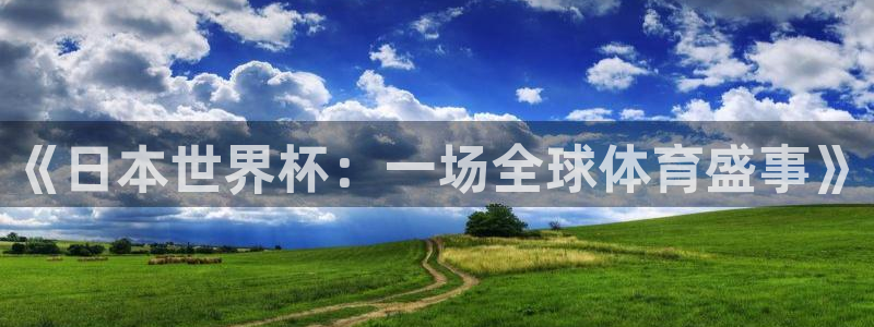 世预赛赛程表：《日本世界杯：一场全球体育盛事》
