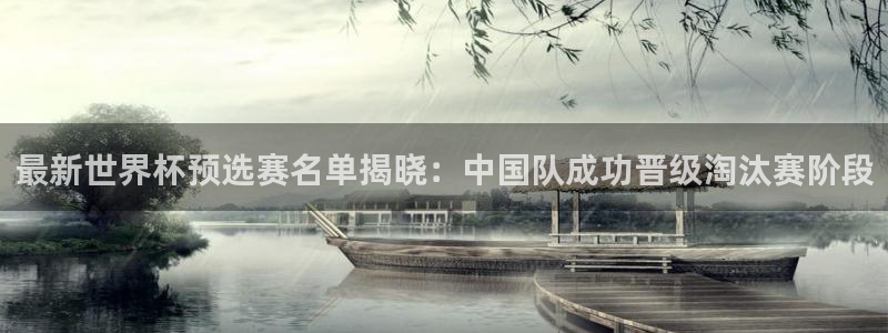 2006年世界杯：最新世界杯预选赛名单揭晓：中国队成功晋级淘汰赛阶段